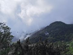 -泰山风景名胜区