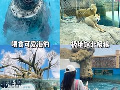 -秦皇岛乐岛海洋王国