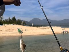 -西涌国际滨海旅游区