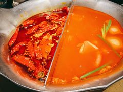 台式麻辣花胶鸡鸳鸯锅-湊湊火锅·茶憩(世博大道店)