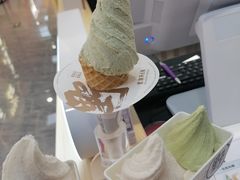 -野人先生现做冰淇淋(西安赛格店)