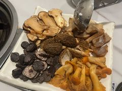 -蘑统田下·野生菌火锅