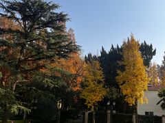 -上海虹桥迎宾馆