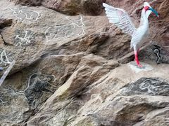 -陕西省红河谷森林公园