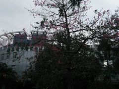 -广东省中医院(芳村医院)