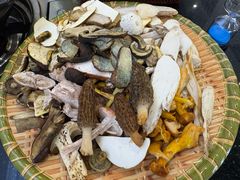 -草墩罗非鱼庄•野生菌•腊排骨(七星街上段店)