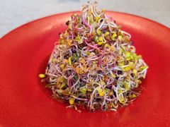 -俏陵轩·南京本土菜(奥体博览中心店)