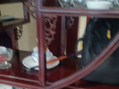 -胶东人家(奥体中心店)