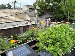 -多味居(剪子巷店)