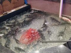 -山河屯铁锅炖(哈西站店)