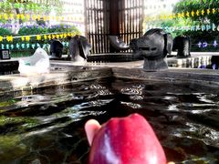 -中家鑫园温泉酒店鑫悦汤泉