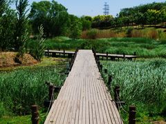 -马家湾湿地公园