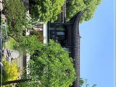 -日出青木