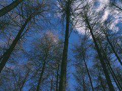 -硗碛藏寨·神木垒景区