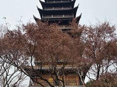 -常熟方塔园