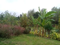 -三圣花乡旅游区