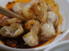 -珍味马边曹五抄手