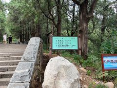 -泰山风景名胜区