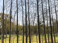 -嘉北郊野公园