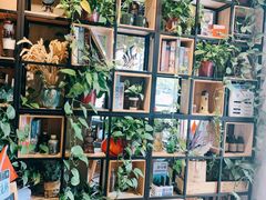 -ZING COFFEE 镜咖啡