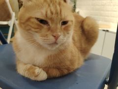 -平行世界·猫咖(首经贸店)