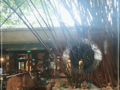 -勐丽梦兰傣味餐厅