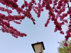 -三里河公园