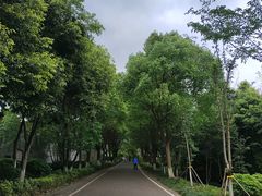 -重庆园博园