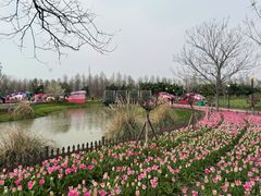 -荷兰花海