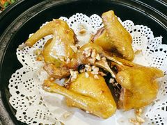 盐焗乳鸽-寻味顺德·南记酒家·传统顺德菜·鱼生(广源路店)