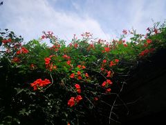 -周村古商城-状元府