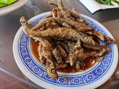 -呼吸森林·生态农庄农家乐私房菜