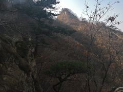 -大连天门山国家森林公园