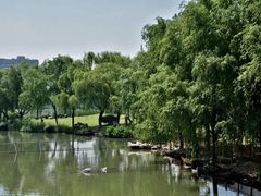 -浙江大学(玉泉校区)