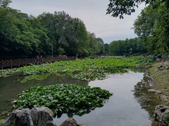 -云岗森林公园