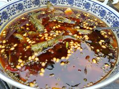 -青城甲(青城山店)