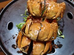 -碧丽宫大酒店(召稼楼店)