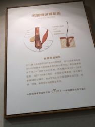 -熙朵美学植发连锁