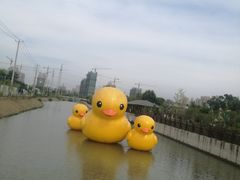 -菊园百果园