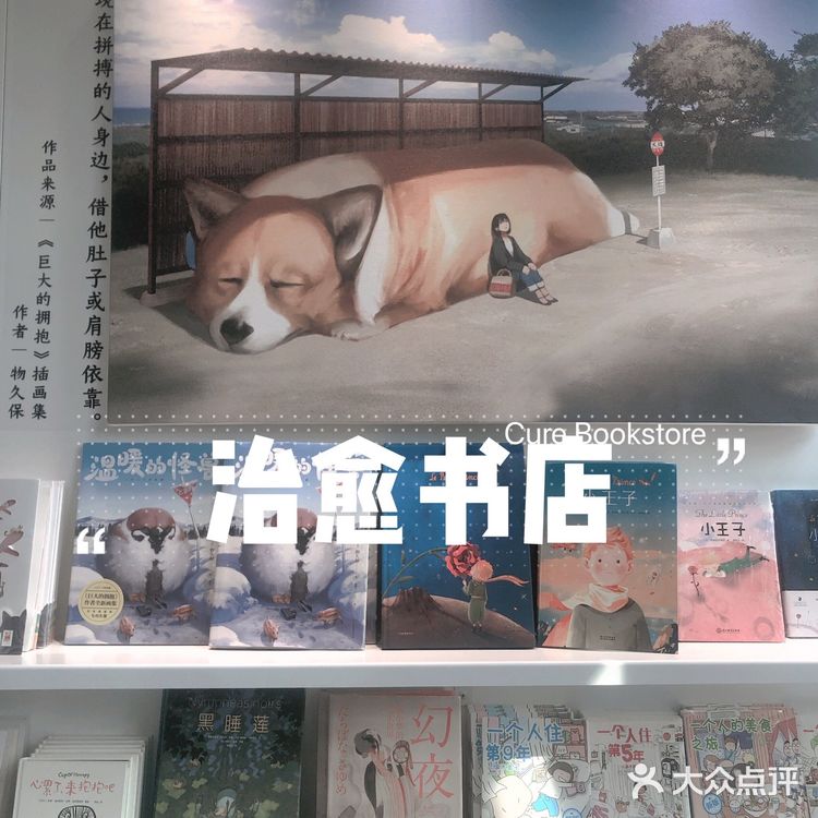 💞周末去哪儿｜来治愈书店吧～