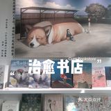 💞周末去哪儿｜来治愈书店吧～