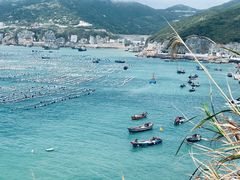 -枸杞岛