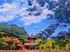 -福神岗公园