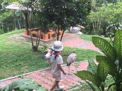 -吉隆坡雀鸟公园