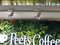 -Peet's Coffee皮爷咖啡(大学路店)