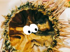 活海胆-雍和会海鲜姿造自助(湖东路店)