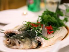 清蒸鲈鱼-文兴酒家(Chinatown - Gerrard Street)