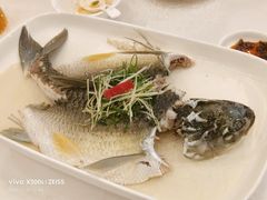 -寻味顺德·南记酒家·传统顺德菜·鱼生(广源路店)