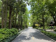 -中国湿地博物馆