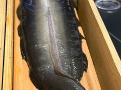 -银座苑烧肉酒场·烤活鳗(仙霞路店)